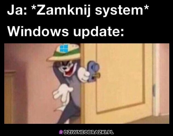 No witam
