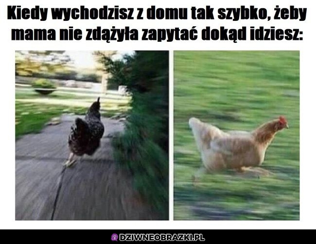 Ten moment