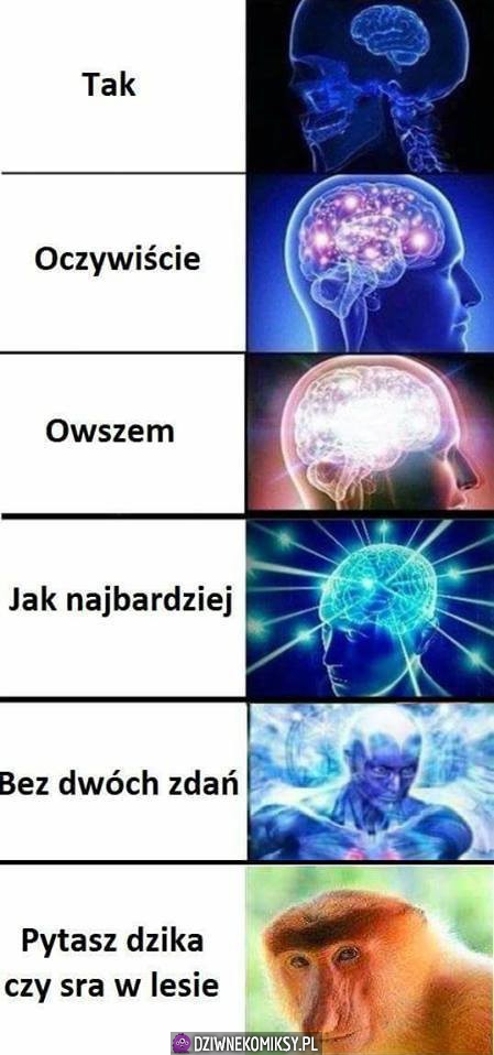 Potwierdzenie