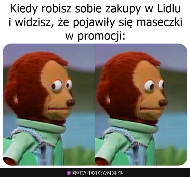 oni coś wiedzą