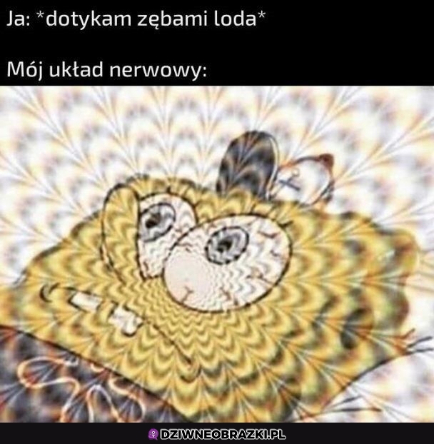 Ten moment