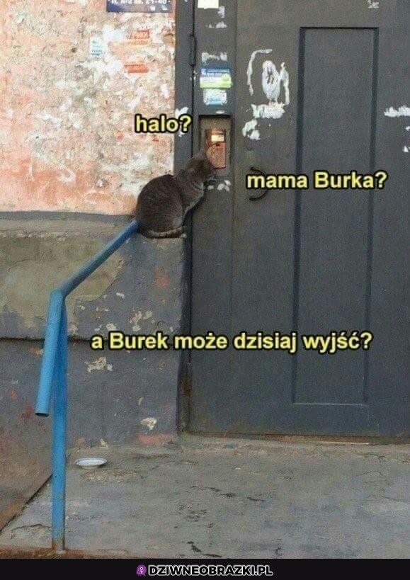 Mama Burka?
