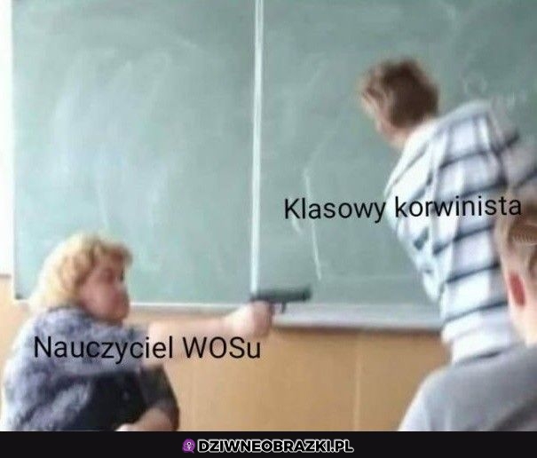 Szybkie ko