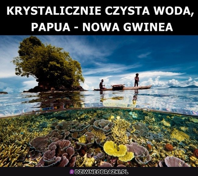 Chyba potrzebuję wakacji