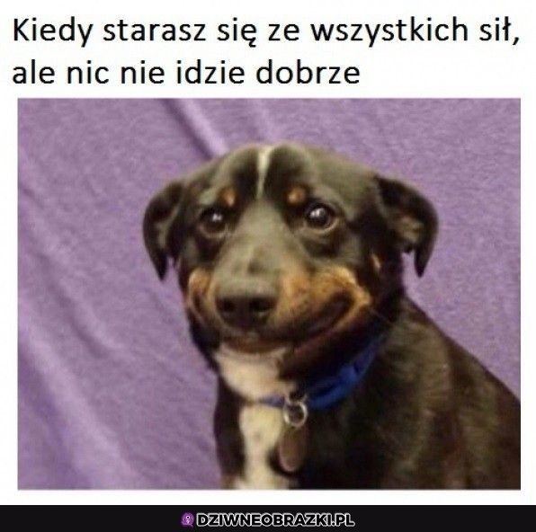 Ups