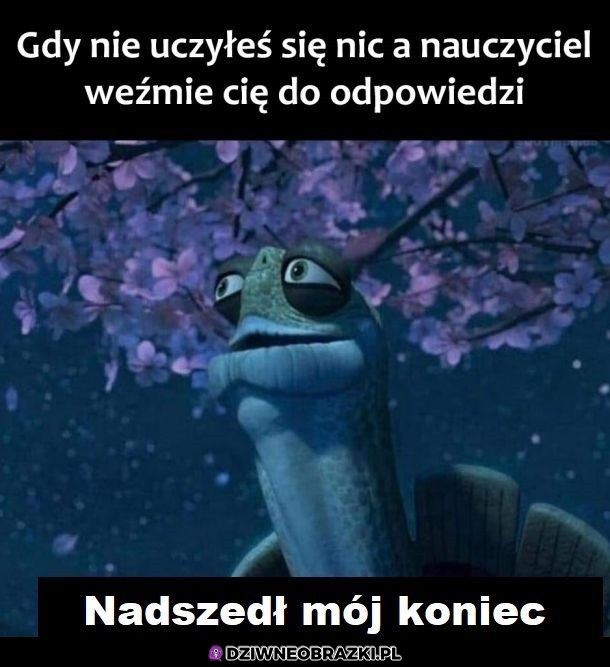 Ten moment