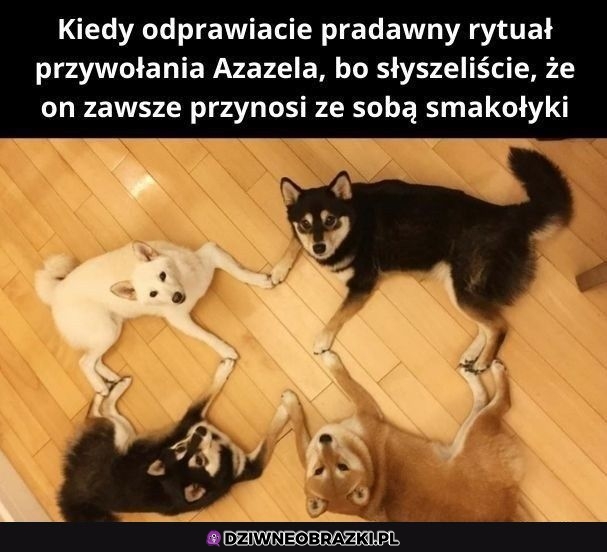 Pradawny rytuał