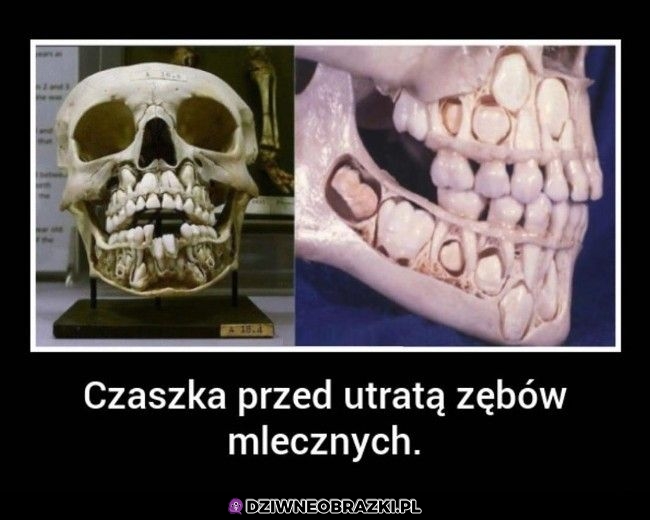 Creepy w cholerę