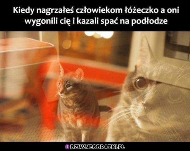 Ale jak to?