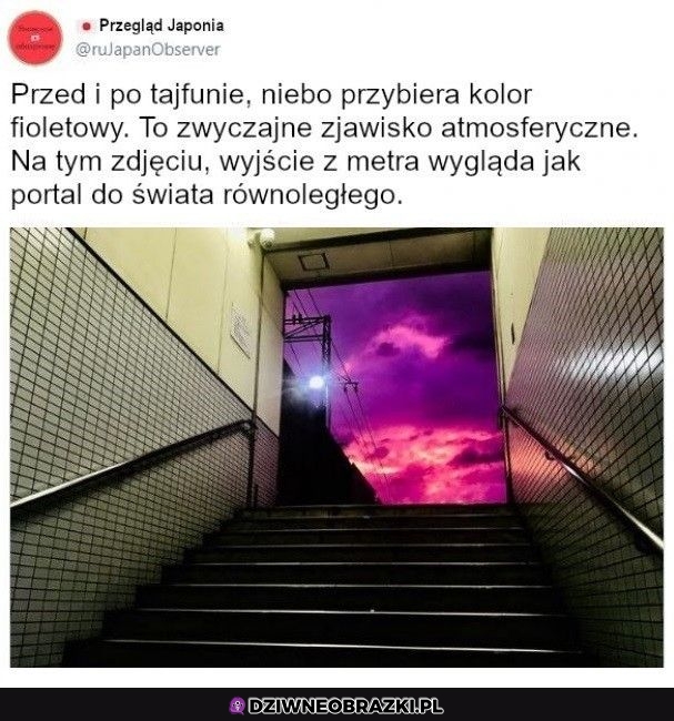 Kozackie foto