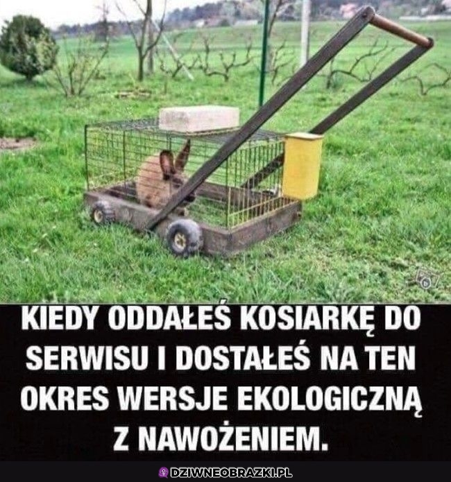 Spoko pomysł Spoko pomysł