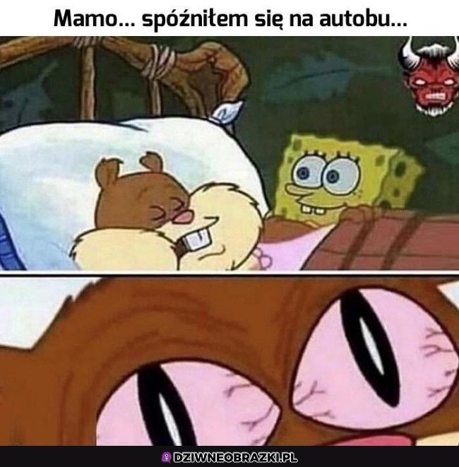 Że co