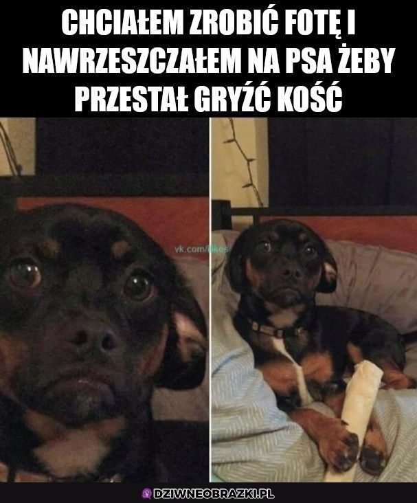 Ale o co ci chodzi?