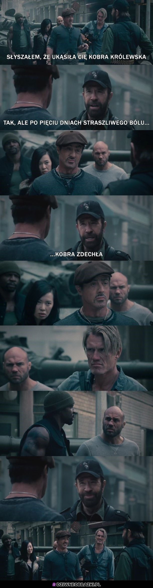 Ukąsiła go kobra