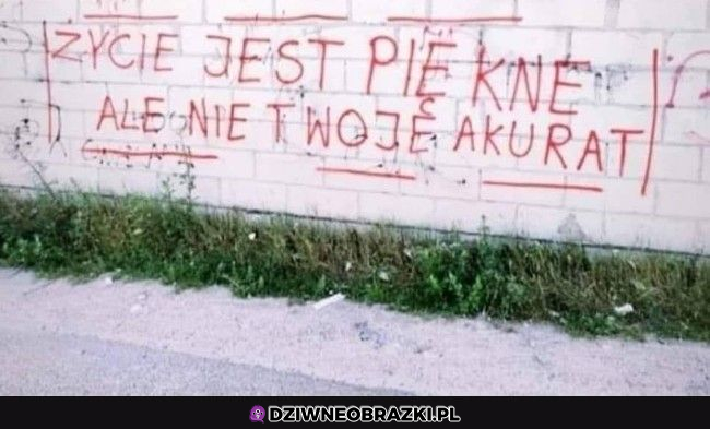 Mało budujące motto