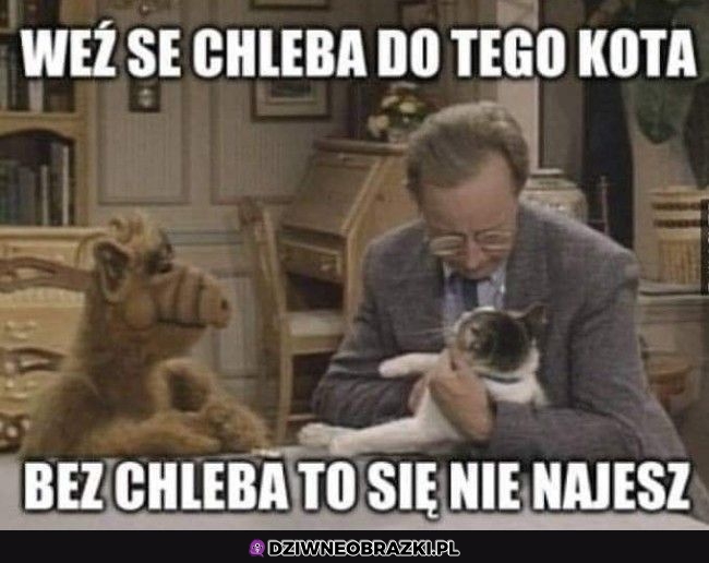 Z chlebkiem trzeba