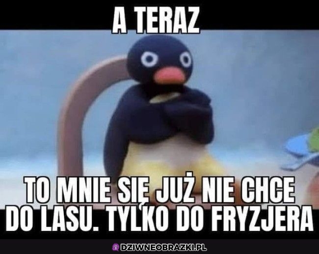 A teraz to już nie chce