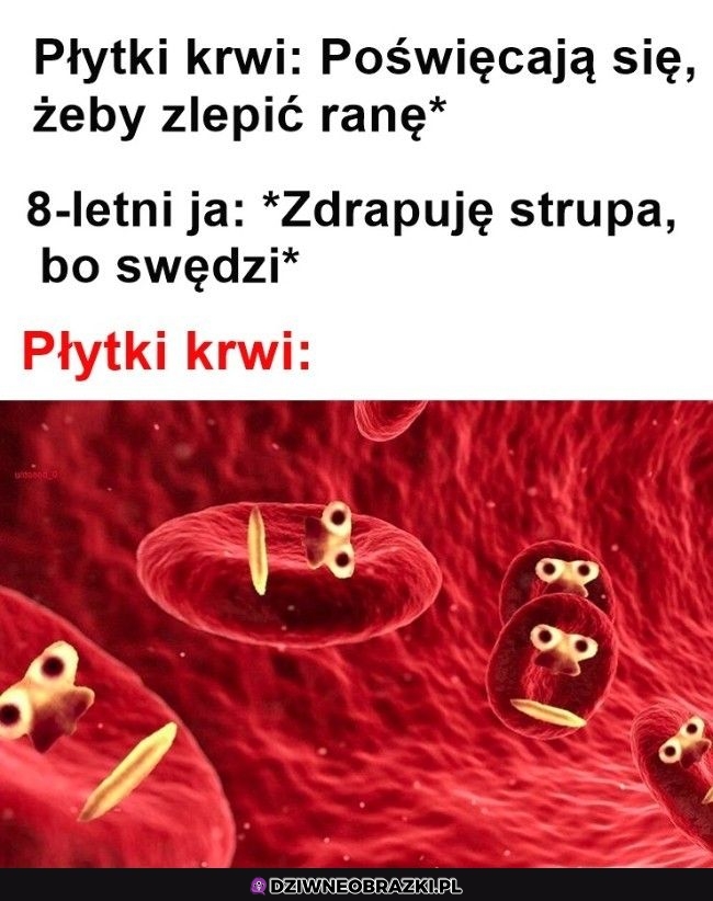 Ten moment