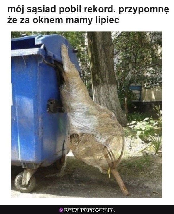 Rekordzista