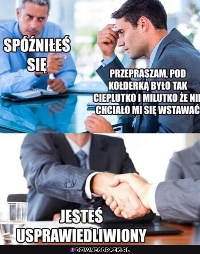 Rozumiem