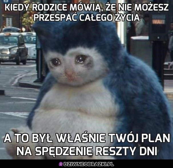 Ale jak to nie mogę?