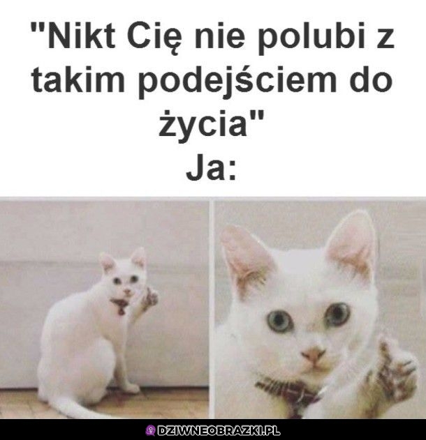 I o to mi chodzi