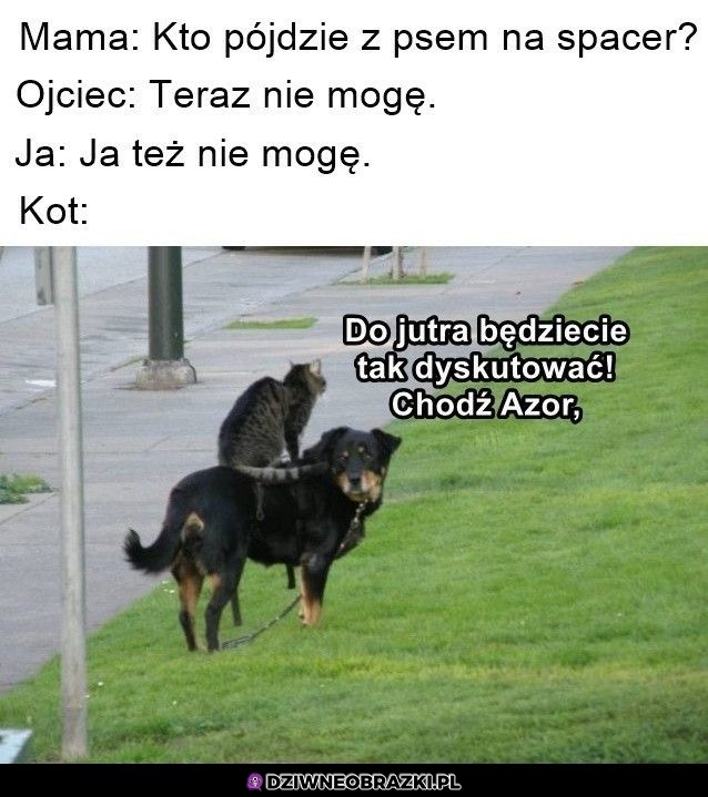 Dobra chodź