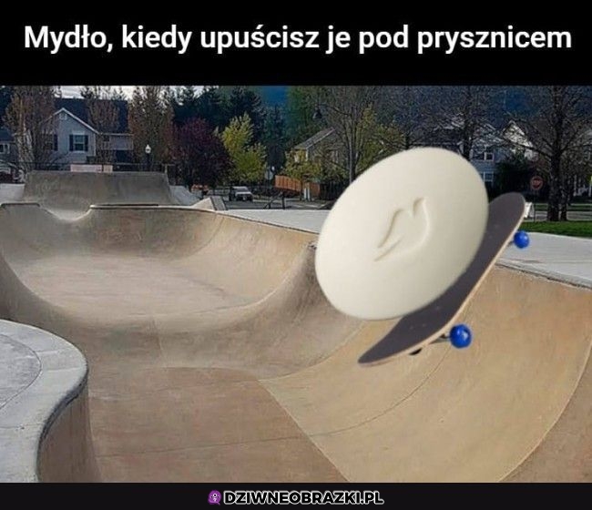 Właśnie to robi