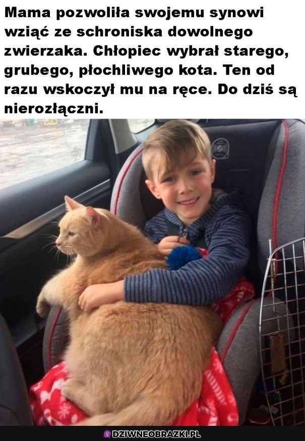 Najlepszy wybór!