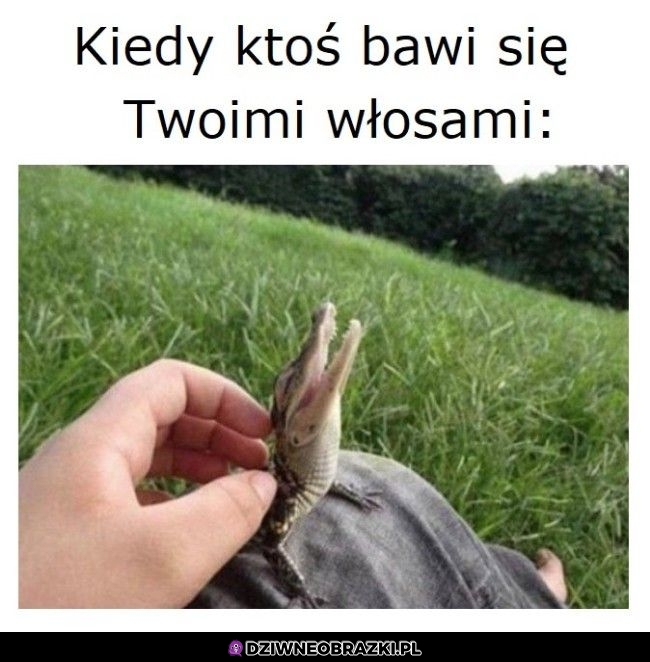 Ten moment