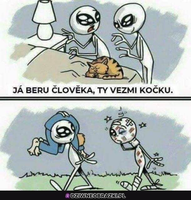 Zły wybór 