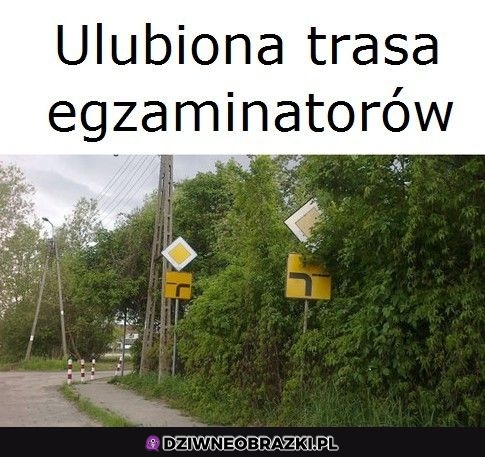 Świetne znaki