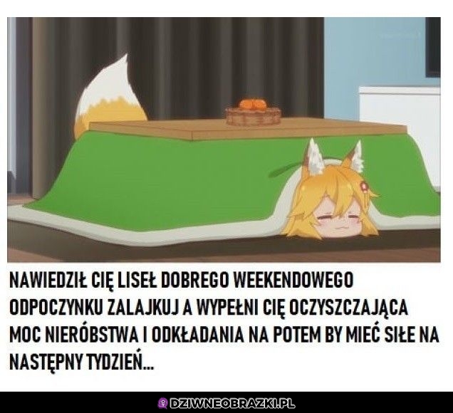 Zalajkuj go