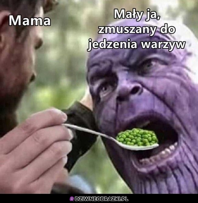 Tak bywało