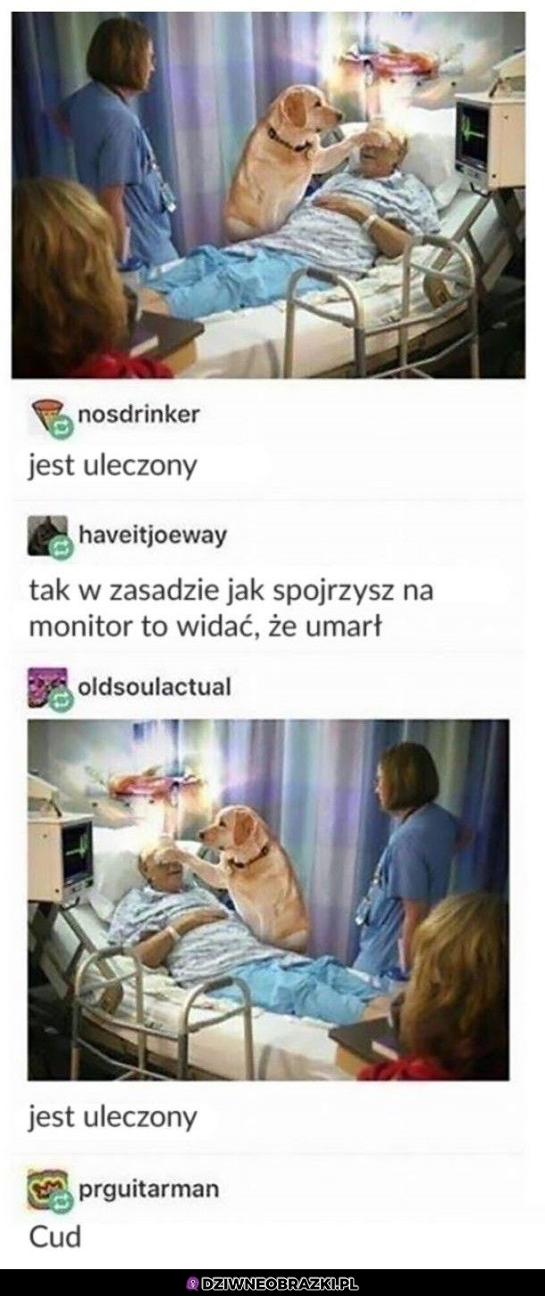 Uleczony