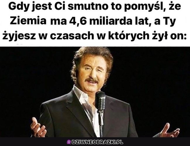 Trafiliśmy najlepiej