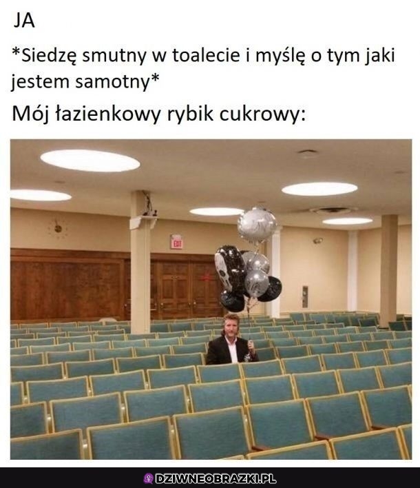 No hejka