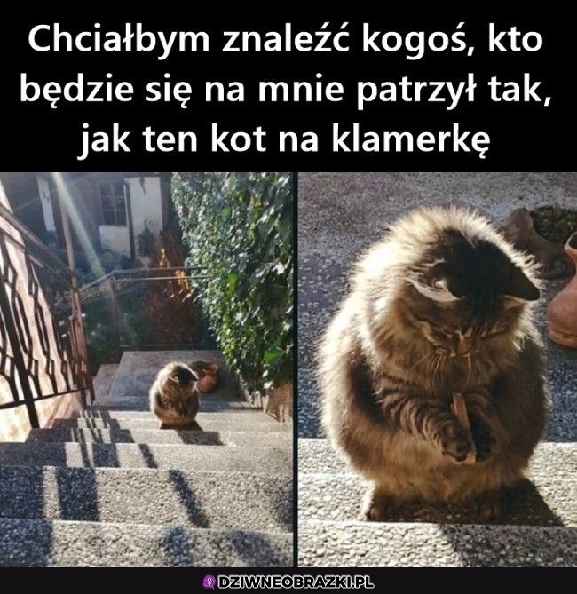 To skupienie