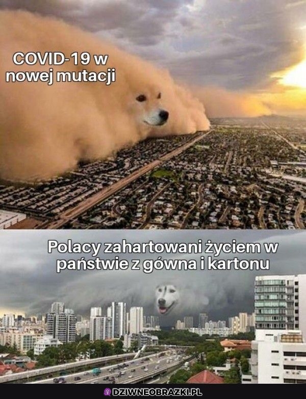 Witaj w Polsce
