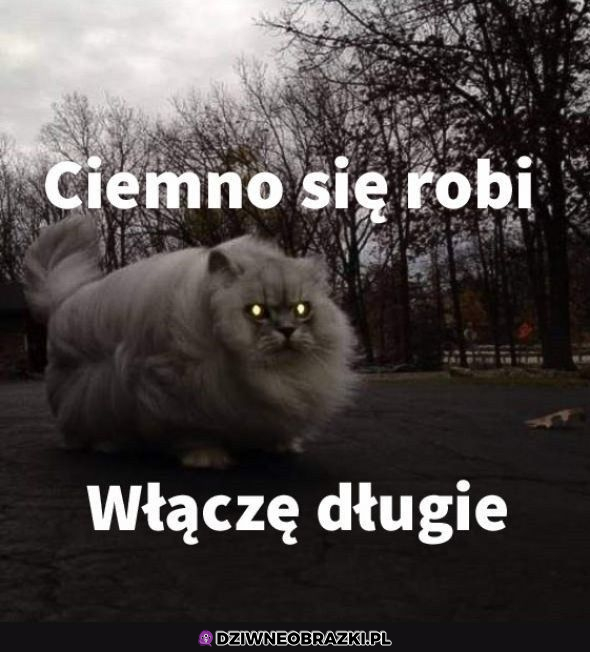 Pora na długie