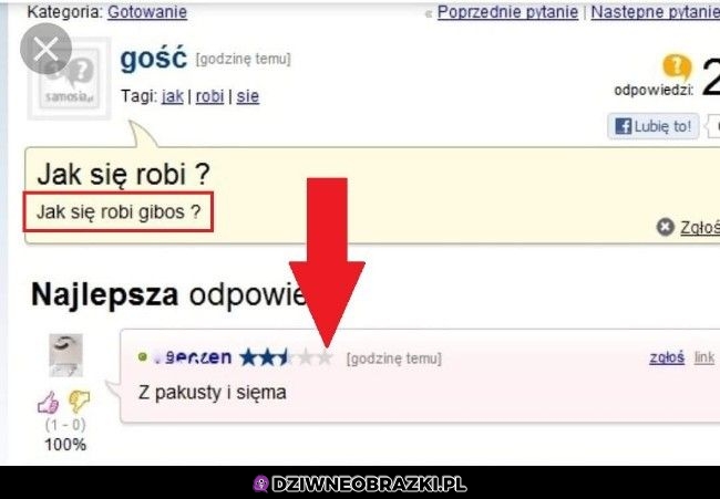 Jak się robi gibos