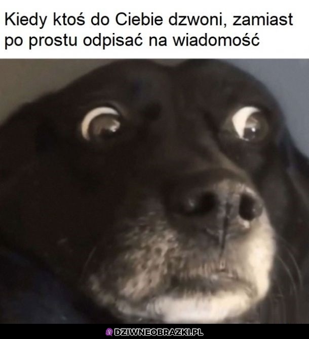 Co tu się odpier*ala?