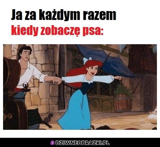 Pieseczek