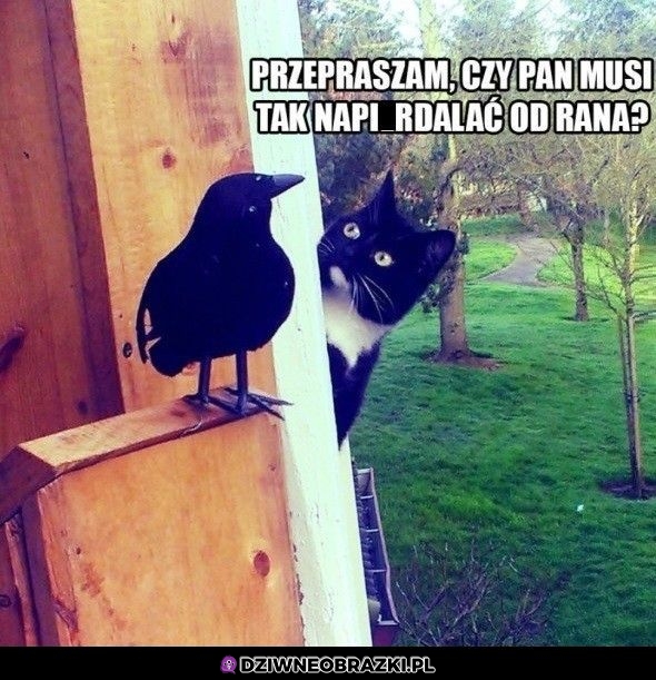 Przepraszam bardzo
