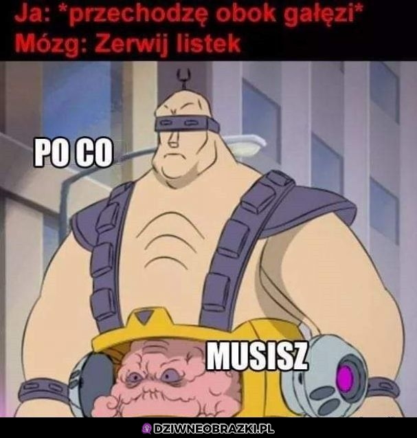 Wiem, że zrywasz