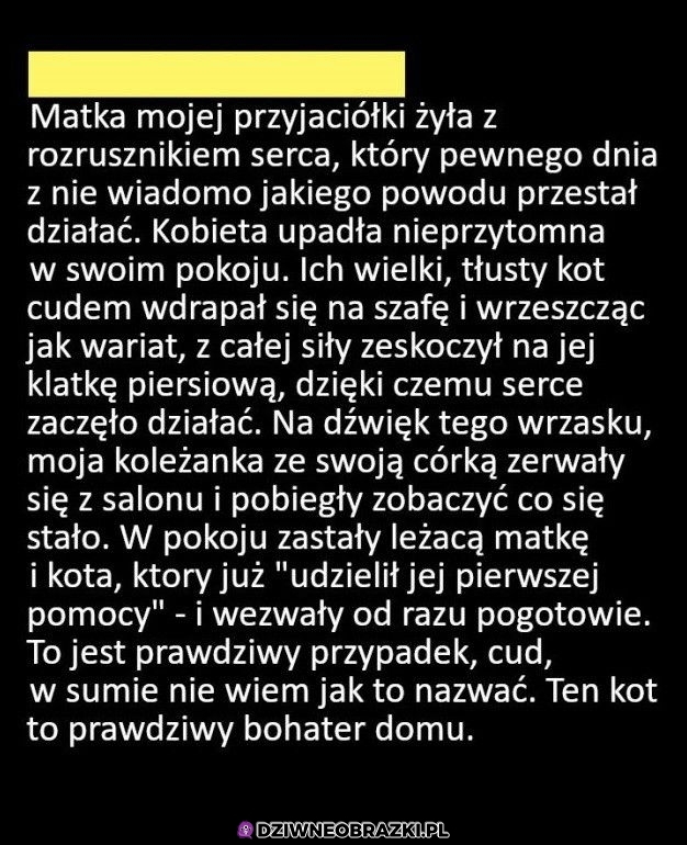 Na coś się przydał