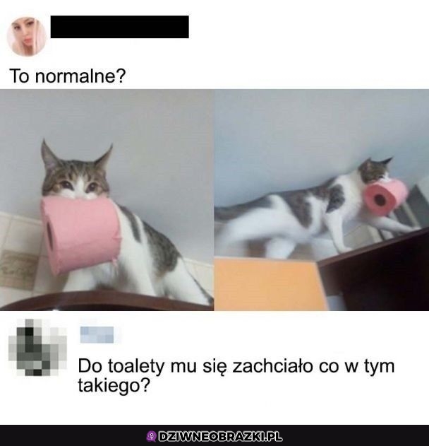 Normalka