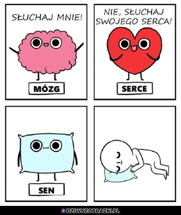 Wiadomo kogo warto słuchać