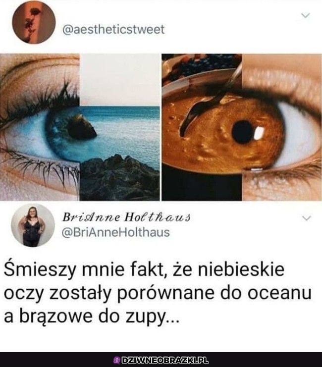 Porównanie