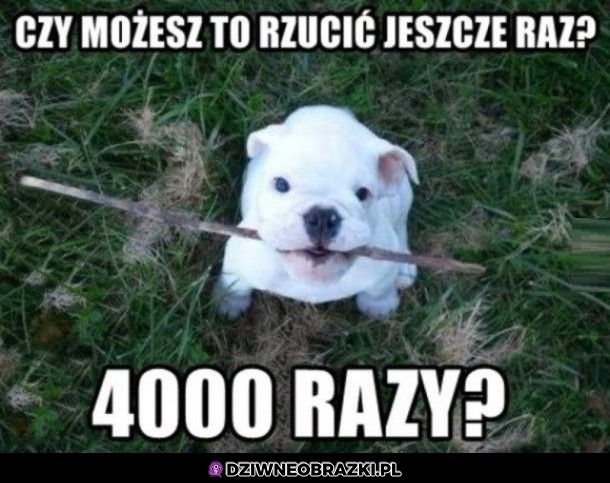 No rzuć